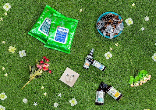 Why Herbal Hair Treatment Is the Solution for Your Hair Woes Why Herbal Hair Treatment Is the Solution for Your Hair Woes